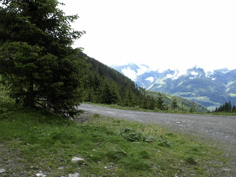 AUS31052009 (19).jpg